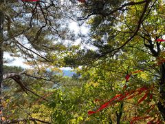 -五女峰国家森林公园