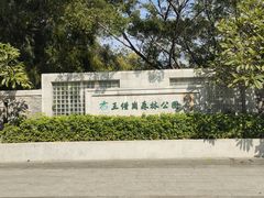 -王借岗森林公园