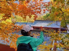 -北京上方山国家森林公园