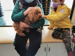 -爱侣宠医·鹦鹉专科·小型哺乳类·异宠专科(灵石路店)