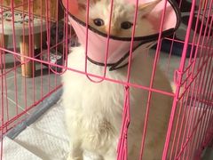 -联合动物医院(光谷诊疗中心)