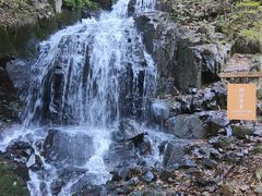 -本溪汤沟绿石谷森林公园