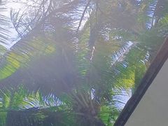 -亚龙湾中心广场