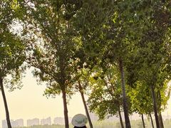 -汉长安城未央宫国家考古遗址公园