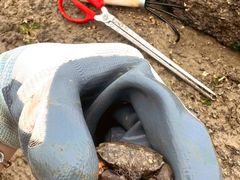 -巧克力渔家.小船海鲜家常菜(万平口店)