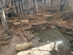 -西安曲江海洋极地公园