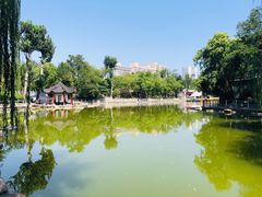 -莲湖公园
