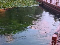 -郭守敬纪念馆