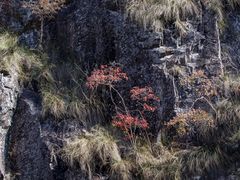 -楠溪江石桅岩