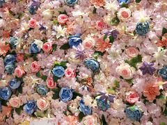 -卓花境Flowerwonderland花店