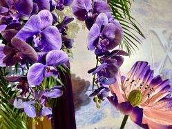 -艾米婚纱&婚礼策划