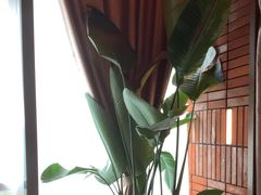 -泰合玺·精油疗愈SPA(狮山天街生活广场店)