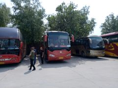 -东方巨龟苑景区