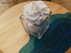 -星漾美学美容美体中心