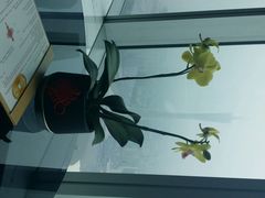 android_upload_pic-广州四季酒店