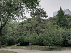 -元大都城垣遗址公园