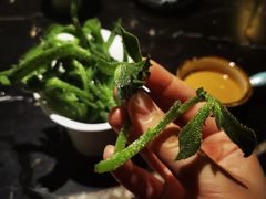 南极冰菜-半岛翡丽海鲜自助餐厅(观风亭店)