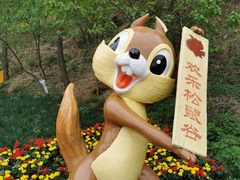 -欢乐松鼠谷