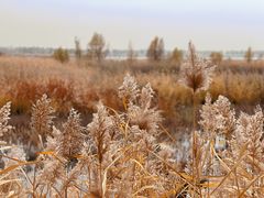 -野鸭湖国家湿地公园