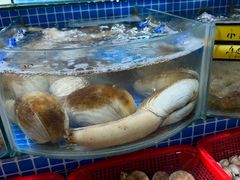 -望海潮海鲜店 特色家常菜(在海一方店)