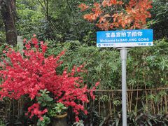 -宝晶宫旅游景区