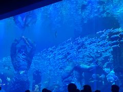-波塞冬海底世界
