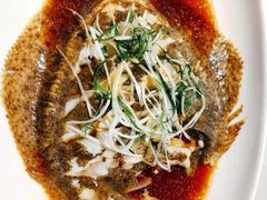 多宝鱼-华盛丰温州大排档(东三环南路店)