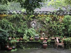 -青城甲(青城山店)