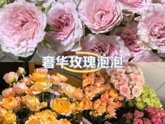 -溪岸路花鸟市场