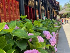 -古大圣慈寺