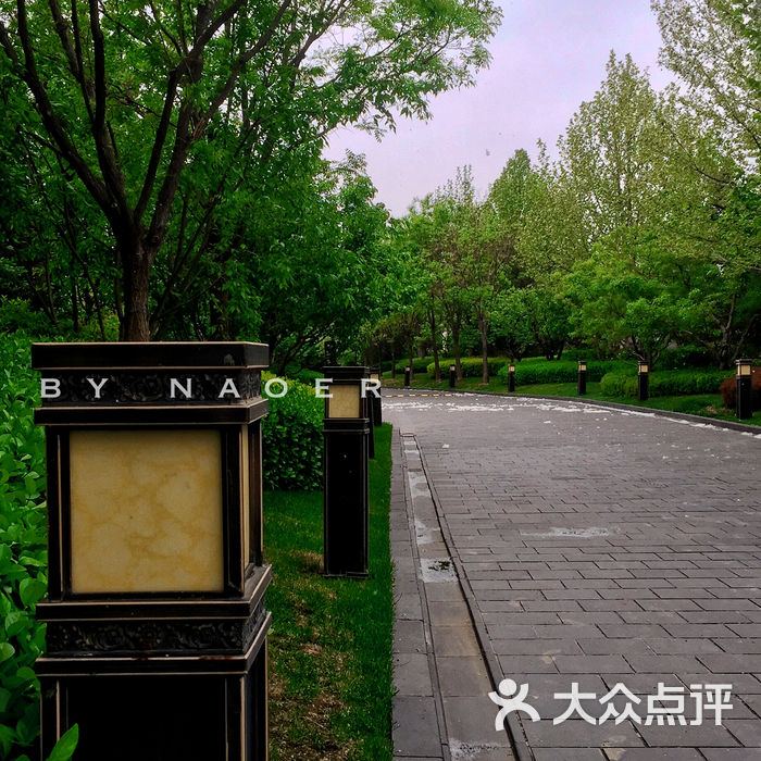 中隐酒店图片-北京自助餐-大众点评网