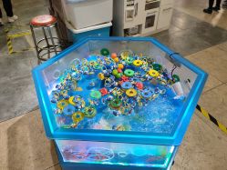 -卡通尼·Safari非洲探索乐园·生日会(金桥国际商业广场店)