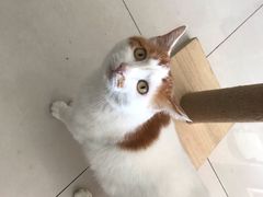 -平行世界·猫咖(首经贸店)
