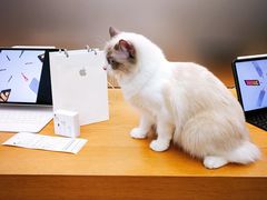 -Apple零售店(成都太古里店)