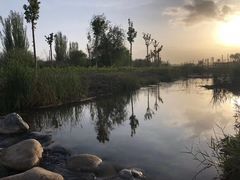 -东湖公园