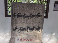 -上海醉白池公园