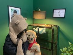 -宠福鑫康馨动物医院·骨科·眼科