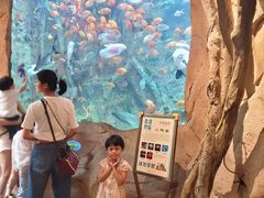 -杭州开元森泊度假乐园