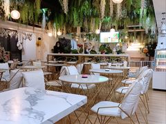 -Husky Go! 哈士奇体验馆·宠物咖啡厅狗咖