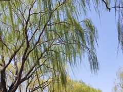 -济南国际园博园