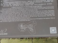 -南山植物园
