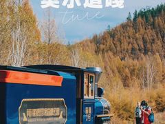 -莫尔道嘎国家森林公园