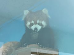 -青藏高原野生动物园