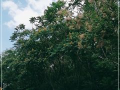 -府君山公园