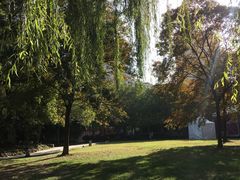 -逸桂禾面馆