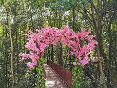 -青峰峡国家森林公园