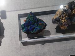 -重庆自然博物馆(新馆)