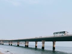 -演武大桥观景平台