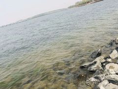 -丁香湖公园