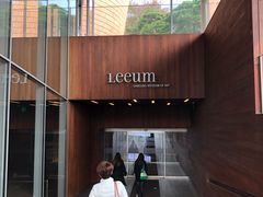 -三星美术馆Leeum